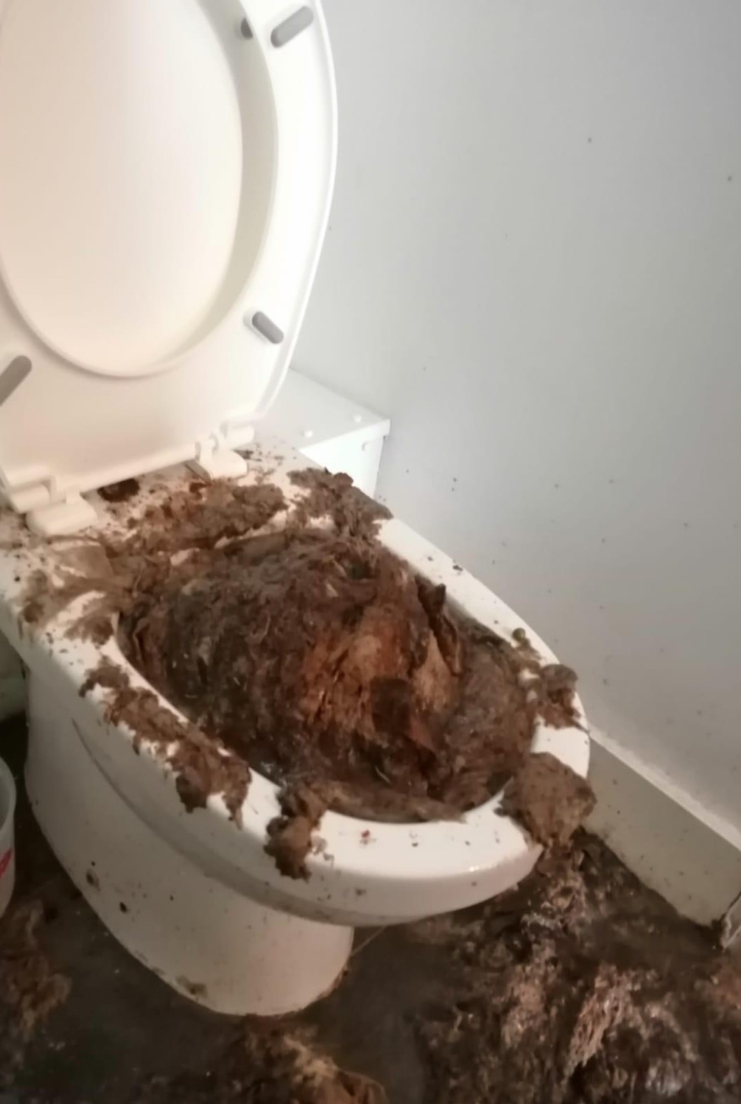 Blocked Toilet Causes and Preventative Measures Kent