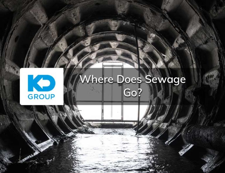 Where Does Sewage Go?